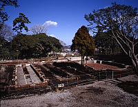 コッキング植物園温室遺構